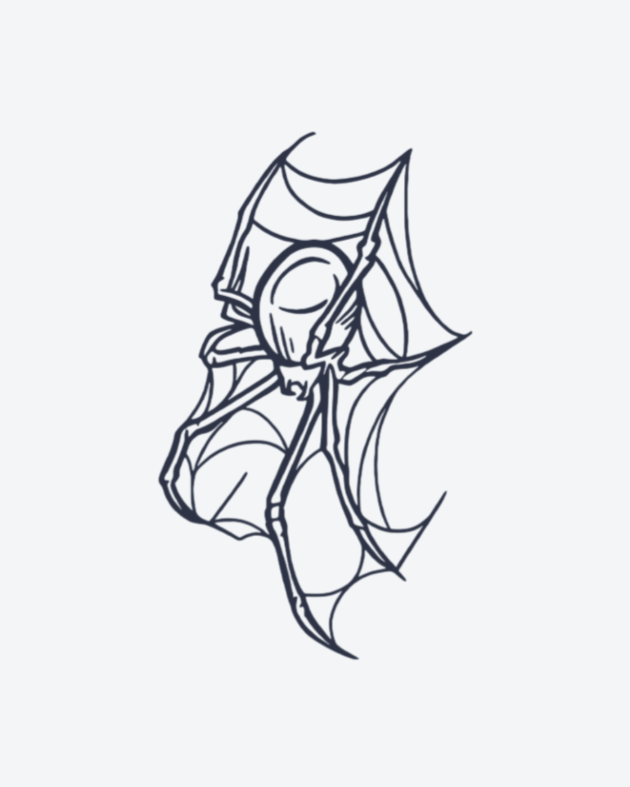 Araignée Sombre
