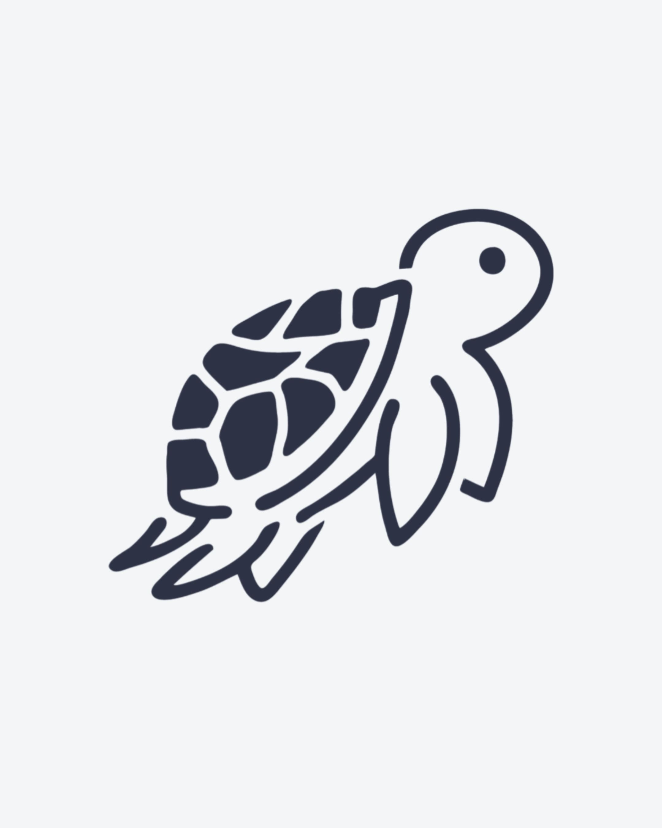 Petite Tortue