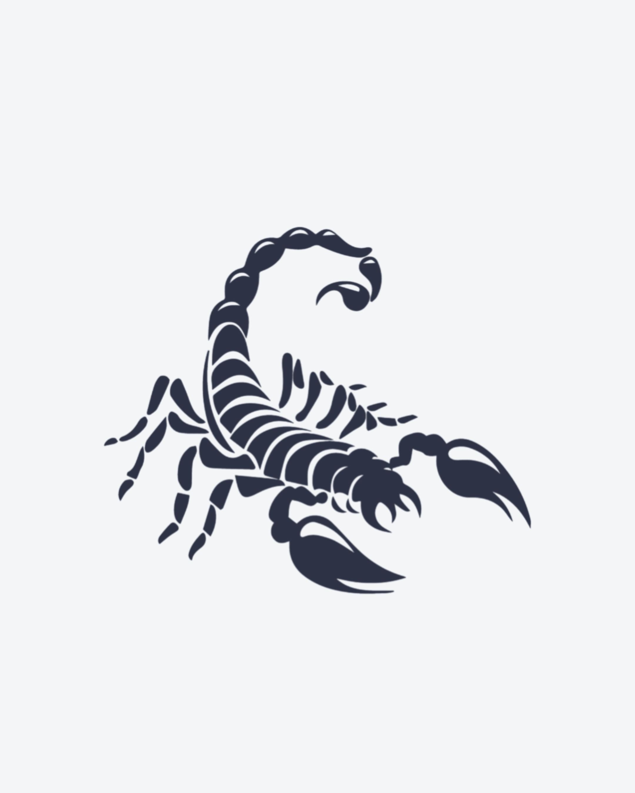 Scorpion Noir