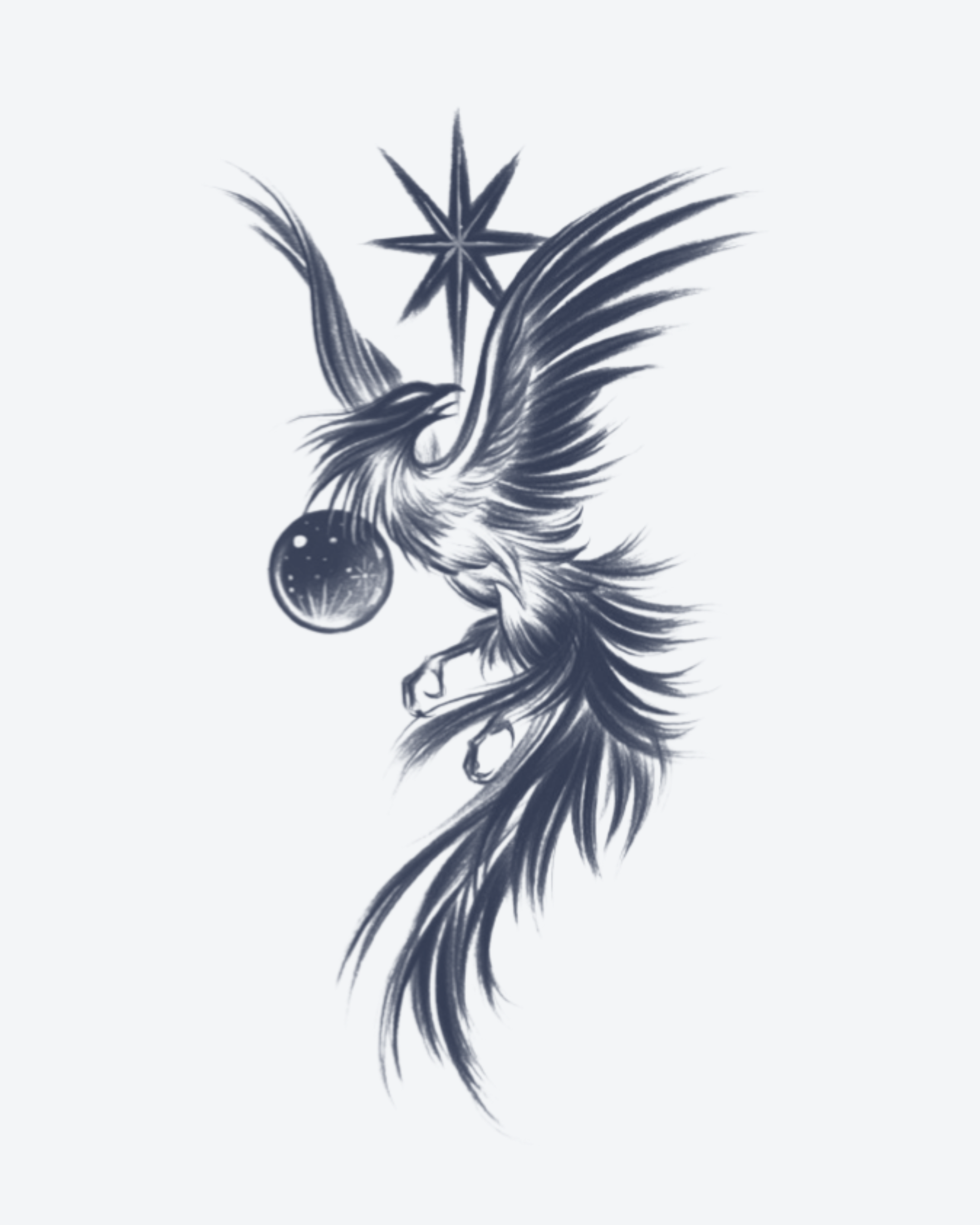 Oiseau Étoilé