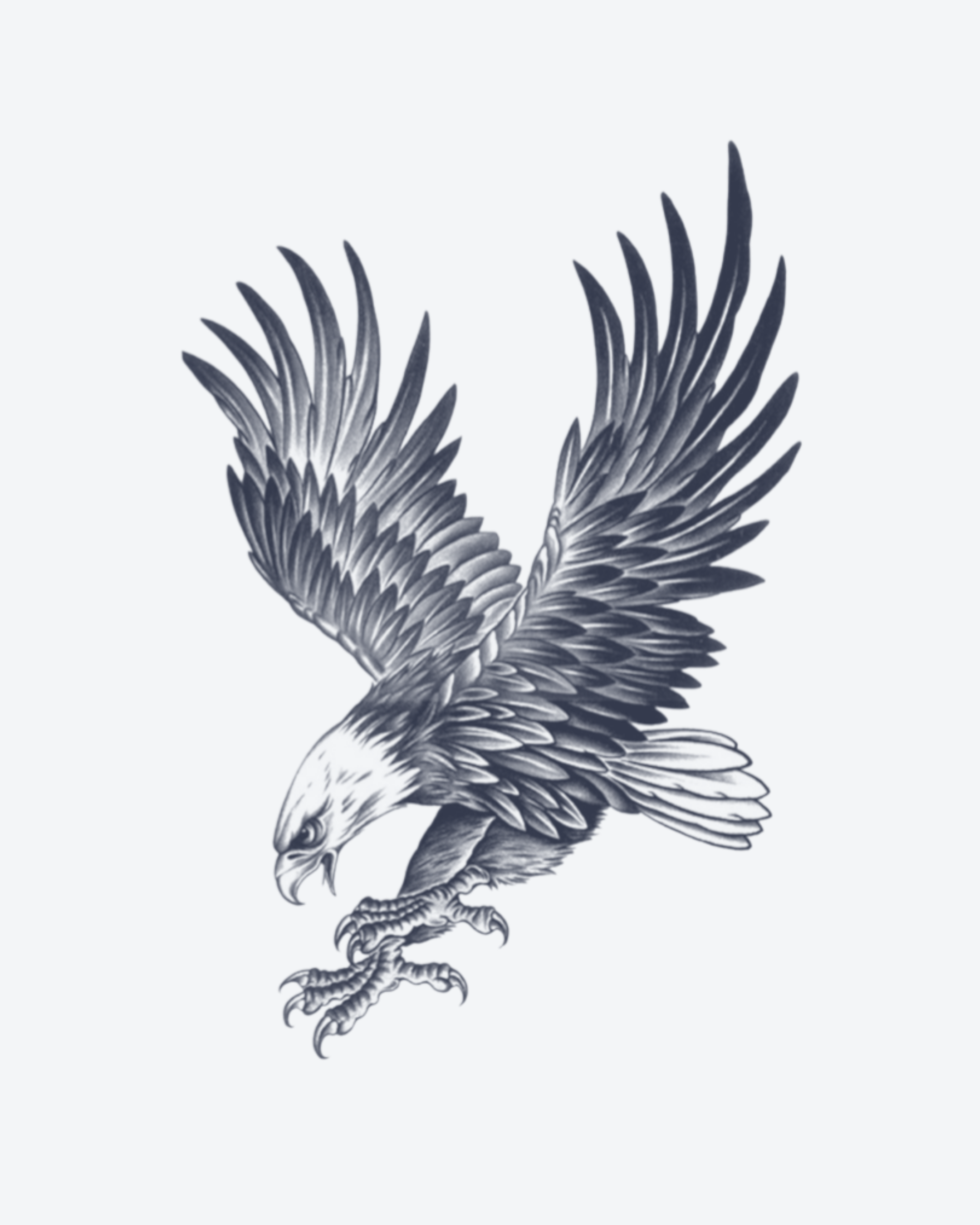 Aigle en Piqué