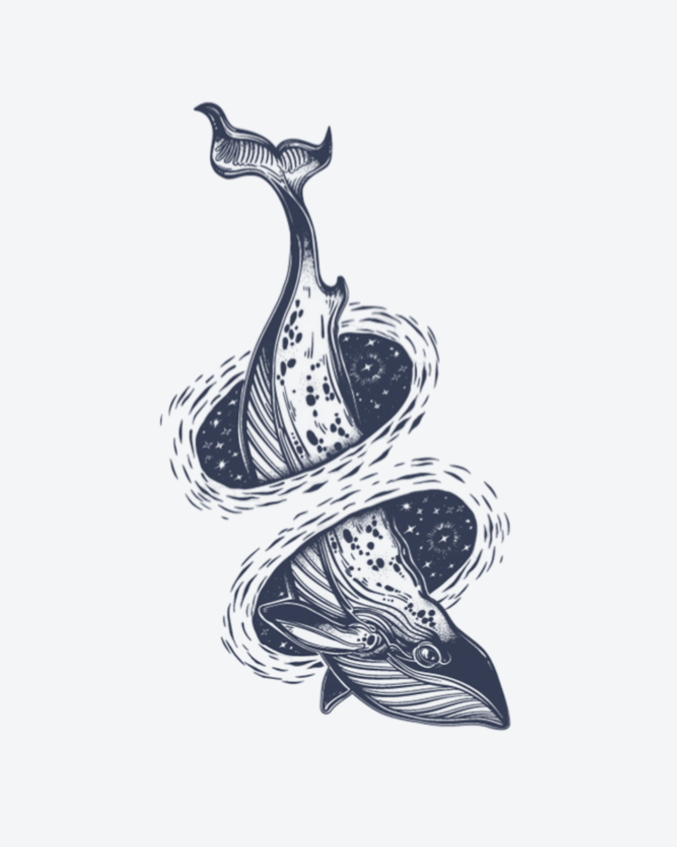 Baleine en Spirale