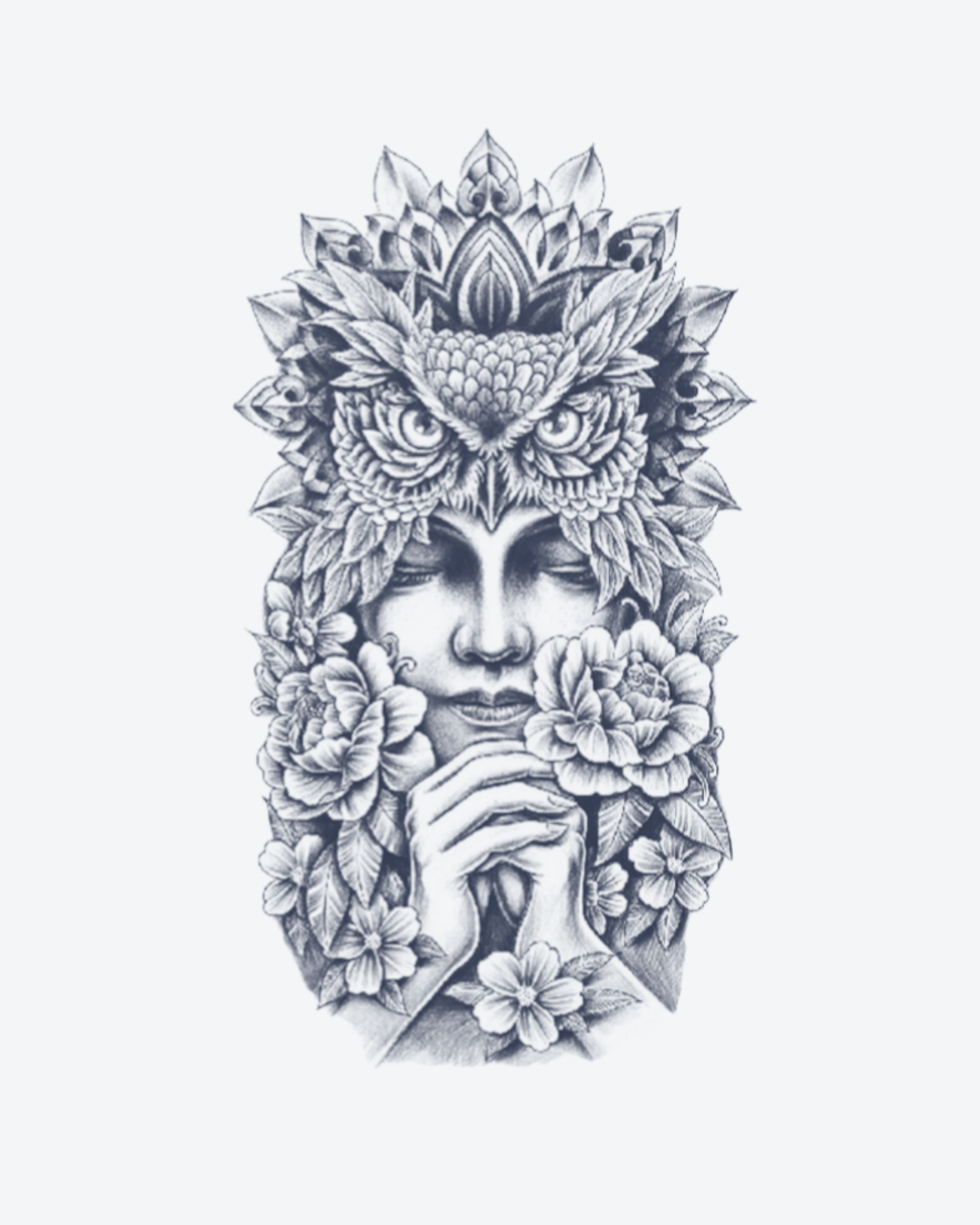 Vision de l’Hibou