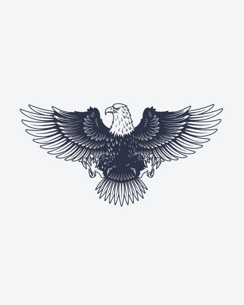 Aigle américain